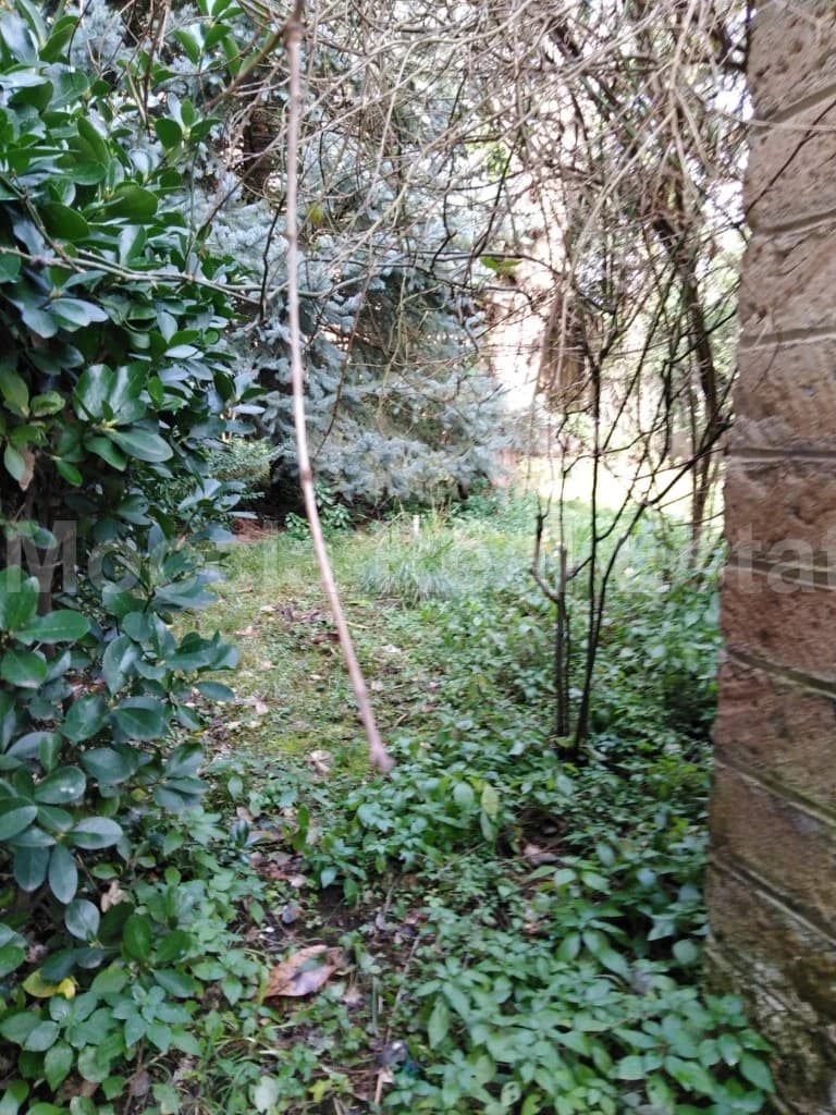 Via San Leucio Caserta - foto 17