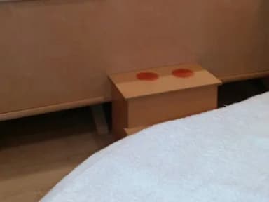 Via Petrarca - foto 4