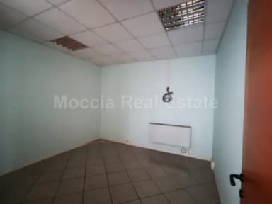 zona asi - foto 15