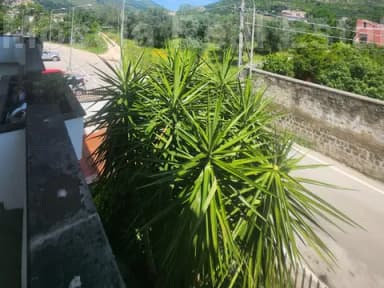 via tenga - foto 20