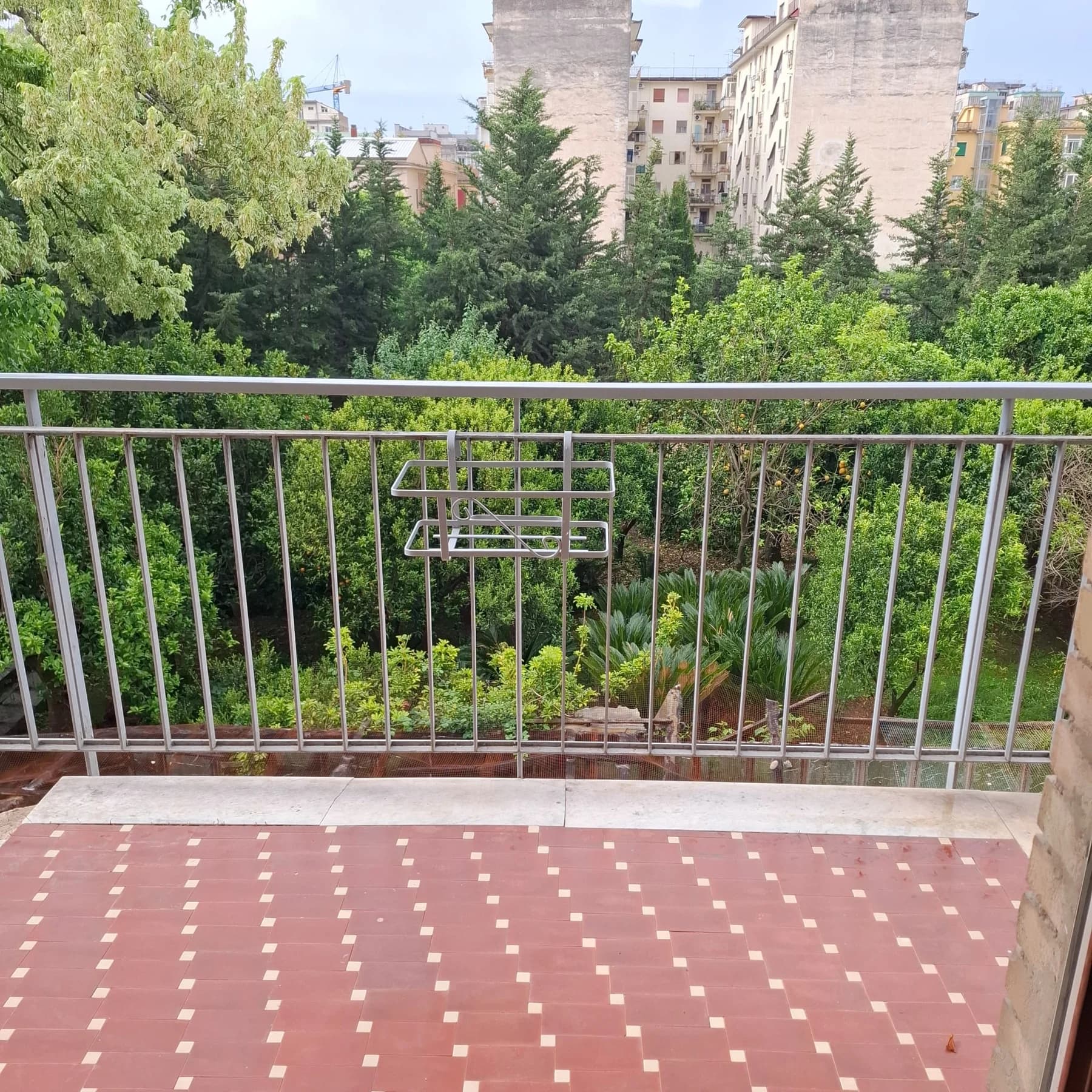 corso trieste - foto 46