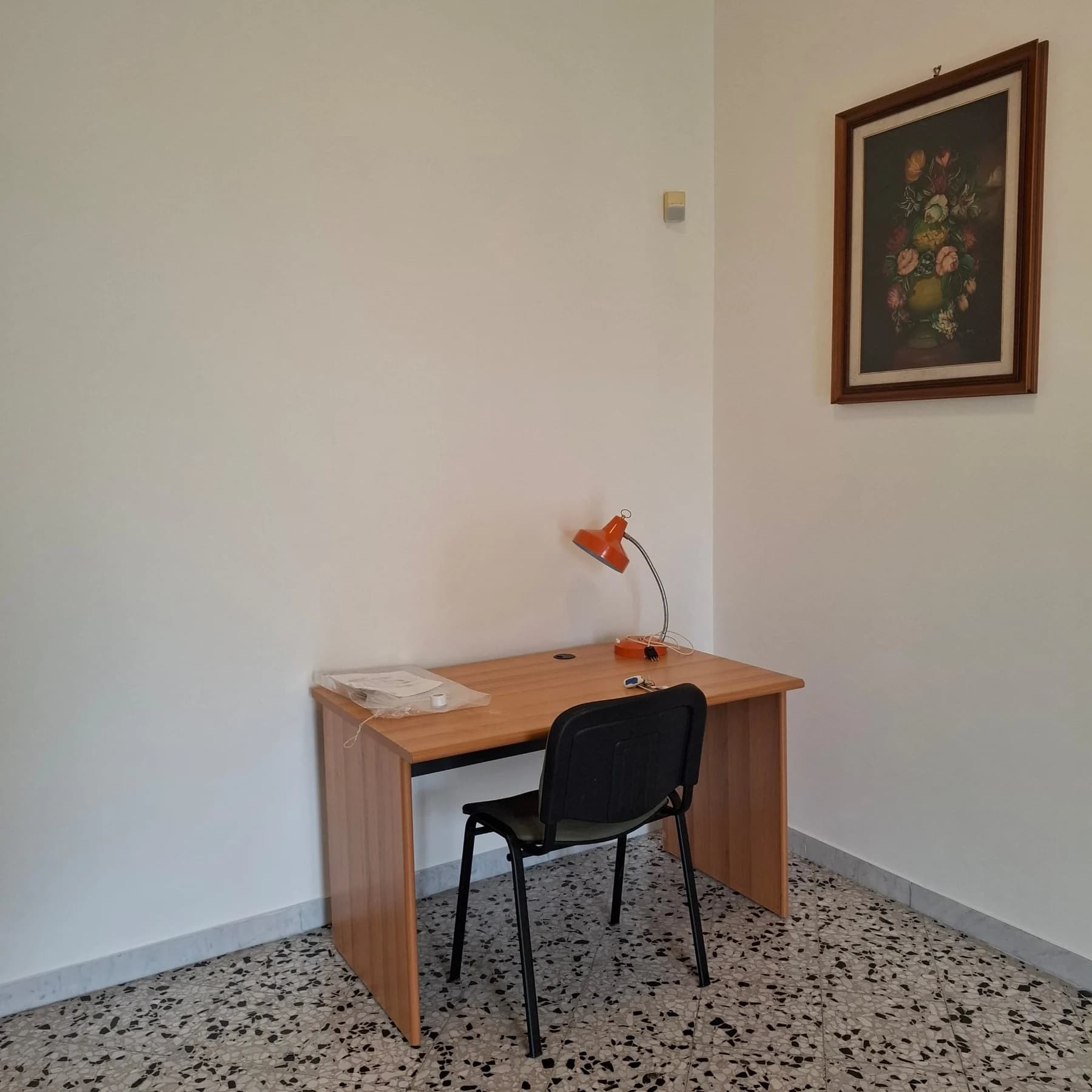 corso trieste - foto 52