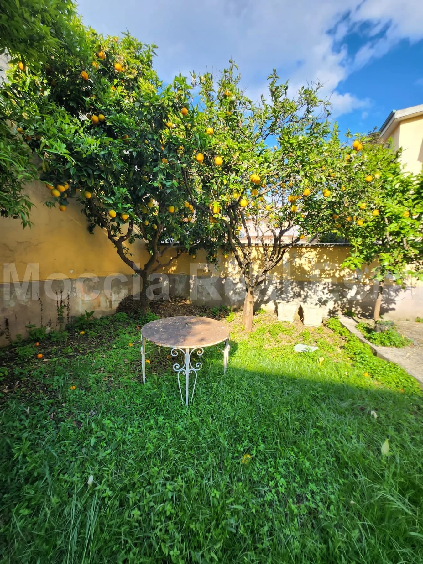 Trilocale uso Abitazione con Giardino e Terrazzo zona nord - foto 27