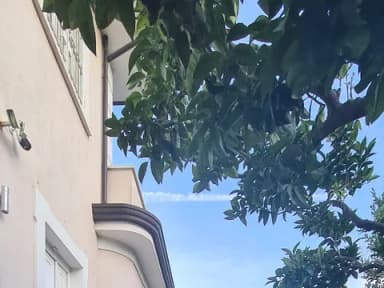 Quadrilocale rifinito prestigioso con giardino e terrazzo - foto 3