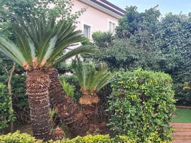 Quadrilocale rifinito prestigioso con giardino e terrazzo - foto 5
