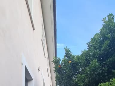 Quadrilocale rifinito prestigioso con giardino e terrazzo - foto 6