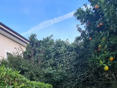 Quadrilocale rifinito prestigioso con giardino e terrazzo - foto 21