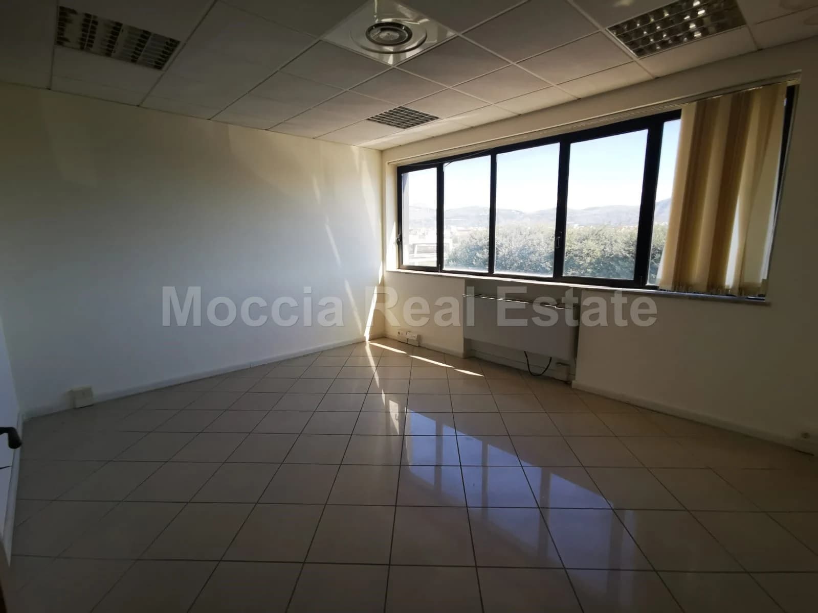 zona asi - foto 1