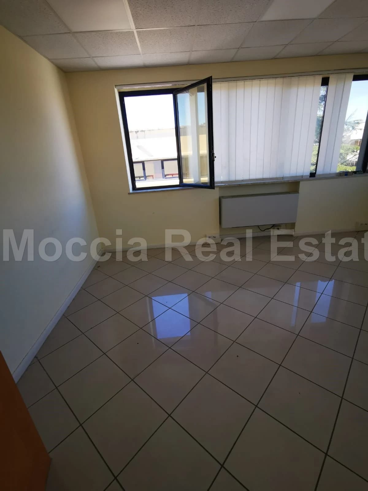zona asi - foto 2