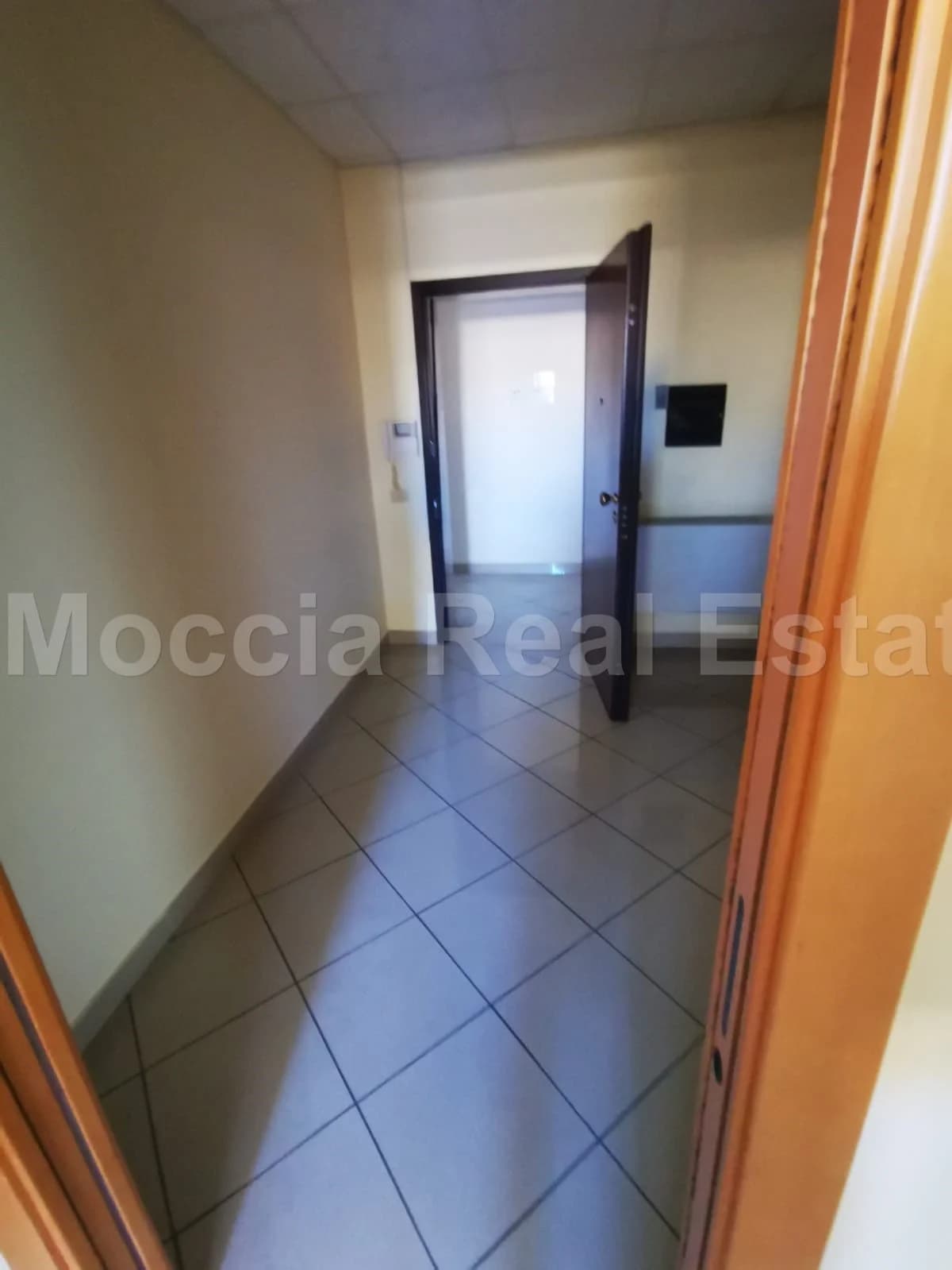 zona asi - foto 4
