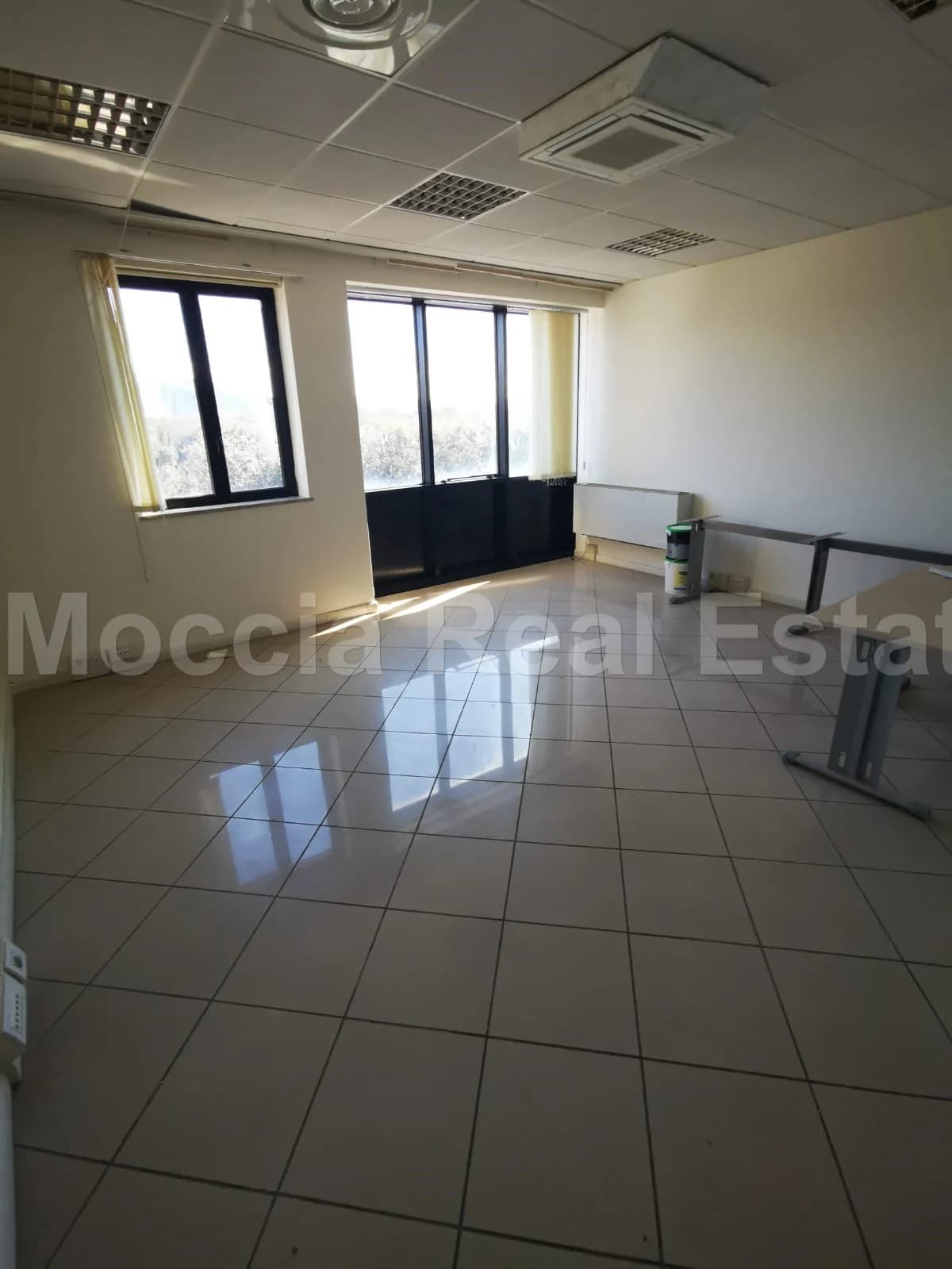 zona asi - foto 7