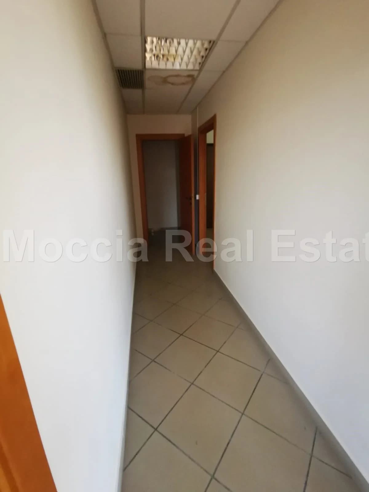 zona asi - foto 10