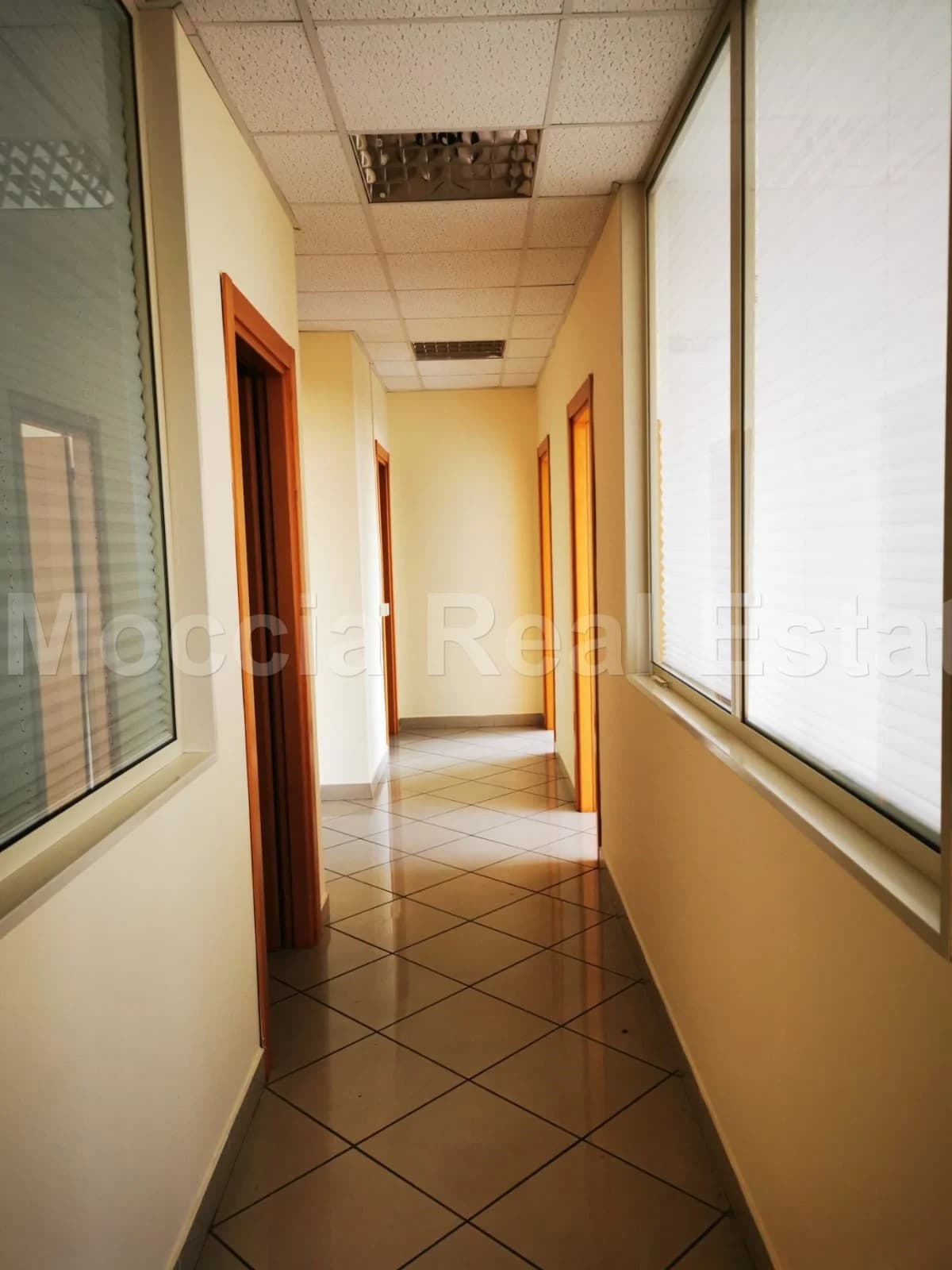 zona asi - foto 14