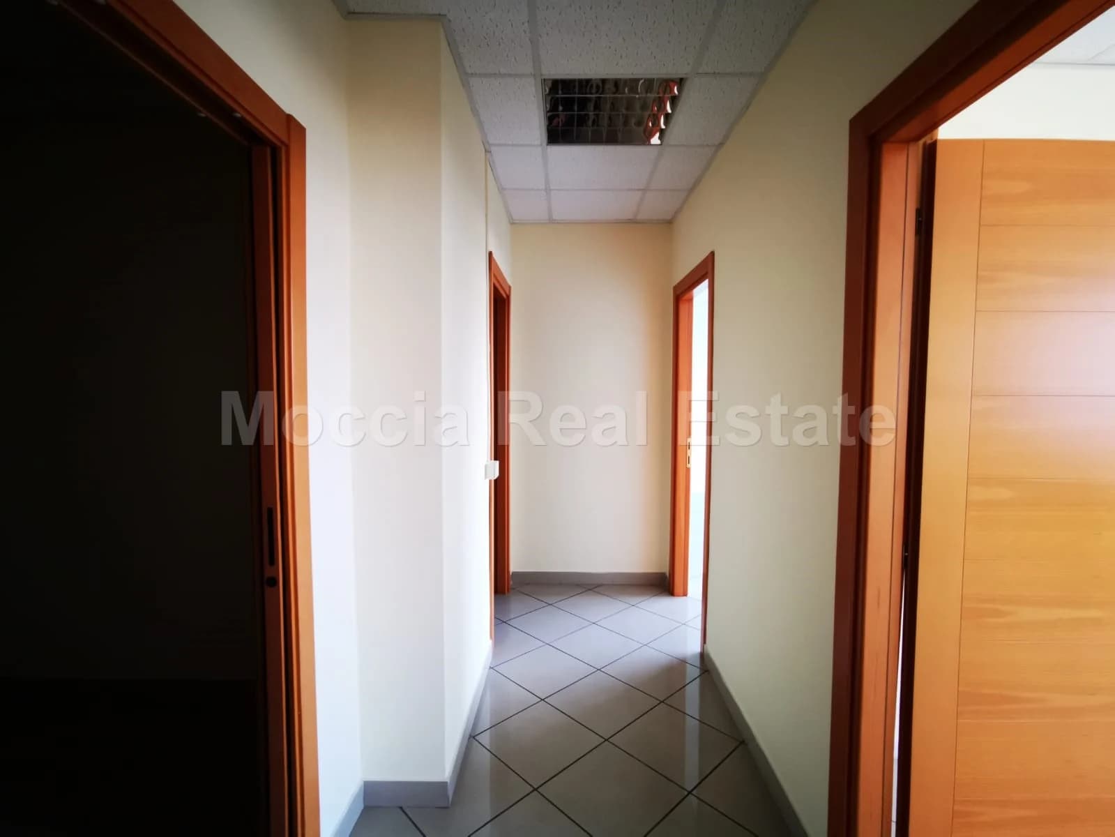 zona asi - foto 16