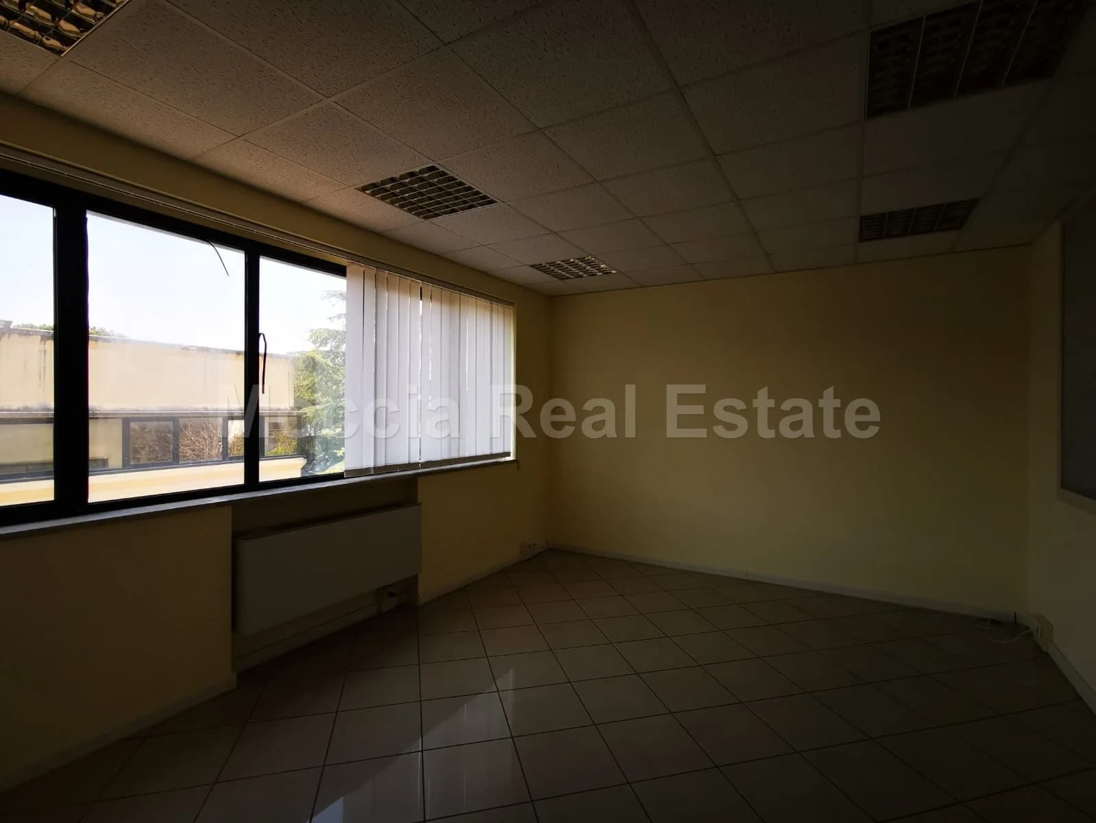 zona asi - foto 18