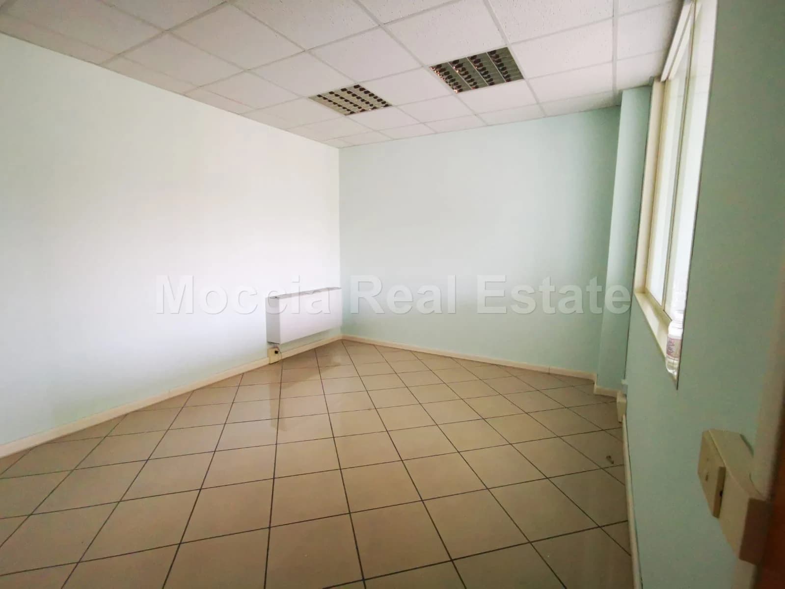 zona asi - foto 21