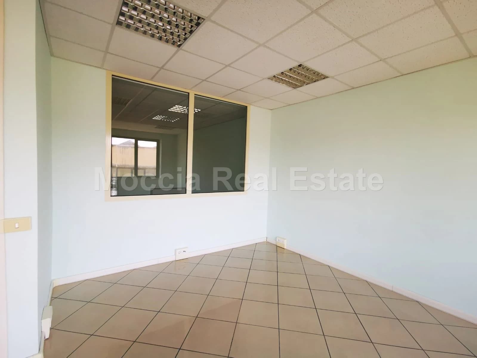 zona asi - foto 22