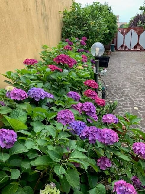 VIA DE FALCO - foto 27