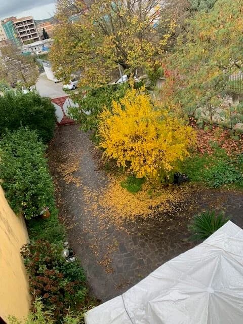 VIA DE FALCO - foto 34