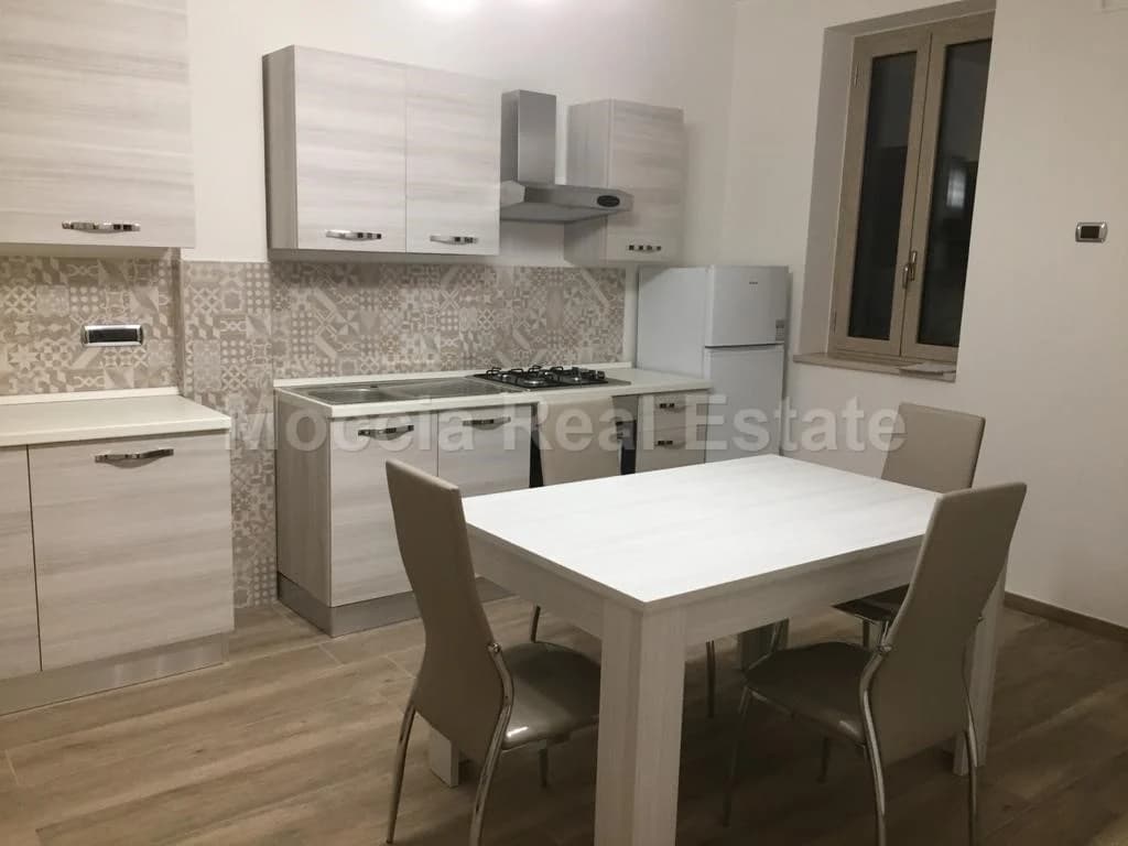 Trilocale arredato nuovo con giardino san leucio - foto 9