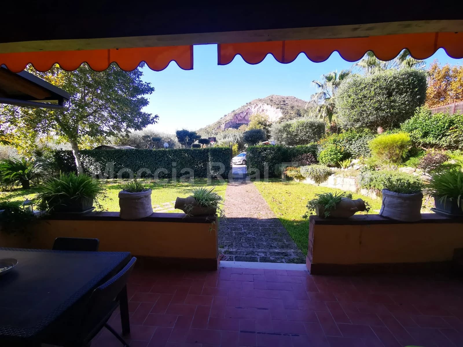 Trilocale arredato nuovo con giardino san leucio - foto 21