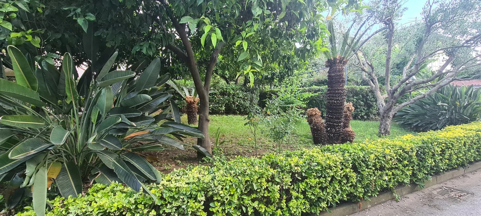 Quadrilocale rifinito prestigioso con giardino e terrazzo - foto 7